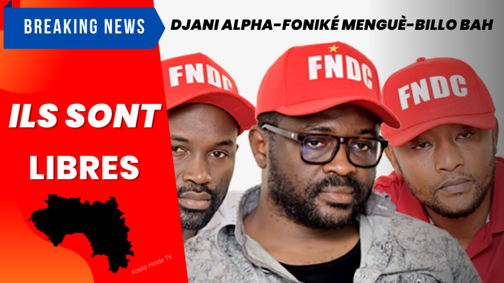 Djani Alpha Foniké Menguè et Billo Bah libérés
