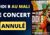 Le concert de Didi b au Mali annulé