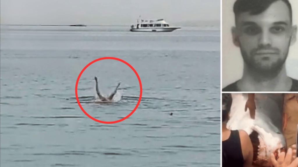 Un touriste russe dévoré par un requin en Égypte