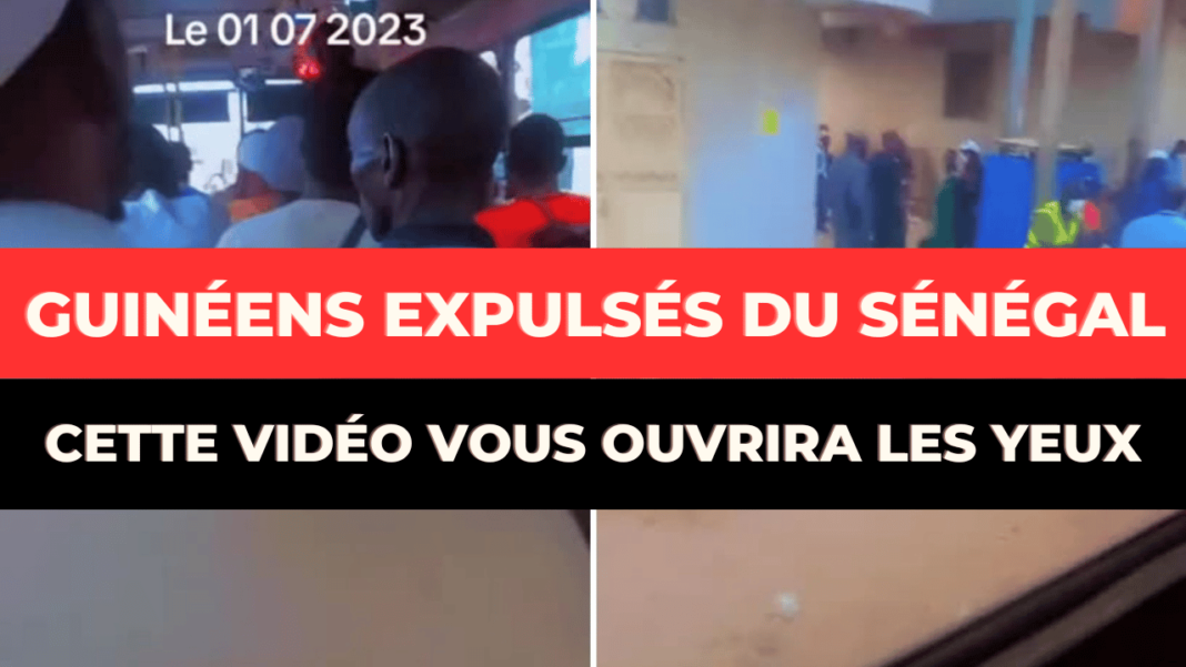 Expulsions massives de Guinéens au Sénégal