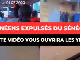 Expulsions massives de Guinéens au Sénégal