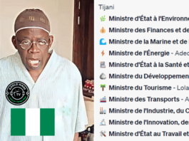 Le Nigeria dévoile la composition complète de son gouvernement sous la présidence de Bola Ahmed Tinubu