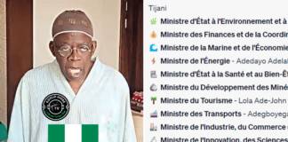 Le Nigeria dévoile la composition complète de son gouvernement sous la présidence de Bola Ahmed Tinubu