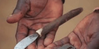 Lutte Contre l'Excision en Guinée Des Femmes Condamnées à la Prison et à l'Amende